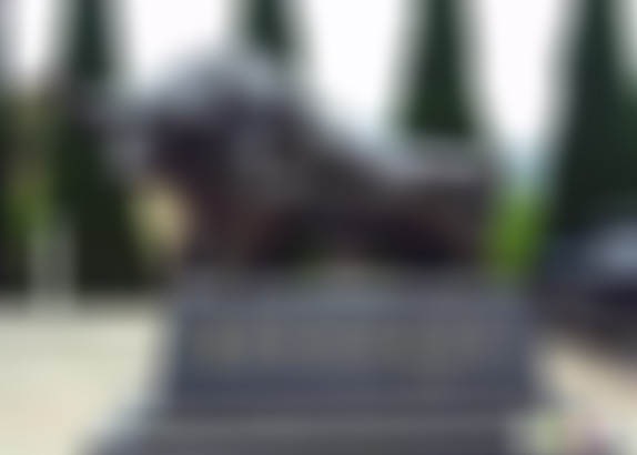 安徽六安景点悠然蓝溪非遗民俗美食街景点介绍1