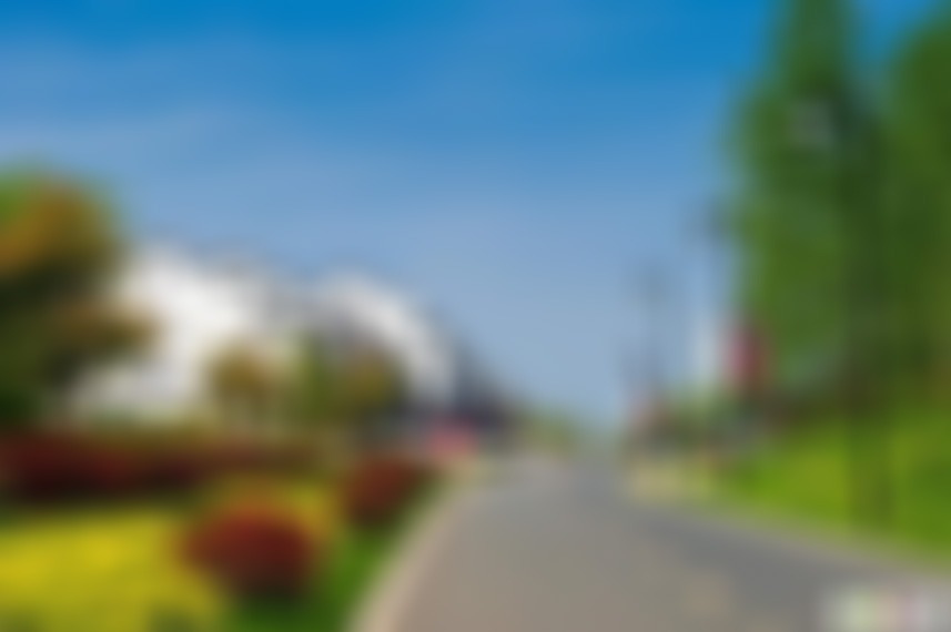 安徽黄山景点黄山松谷景区景点介绍1