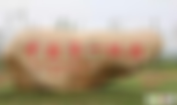 安徽滁州景点中国第一枫园景点介绍1