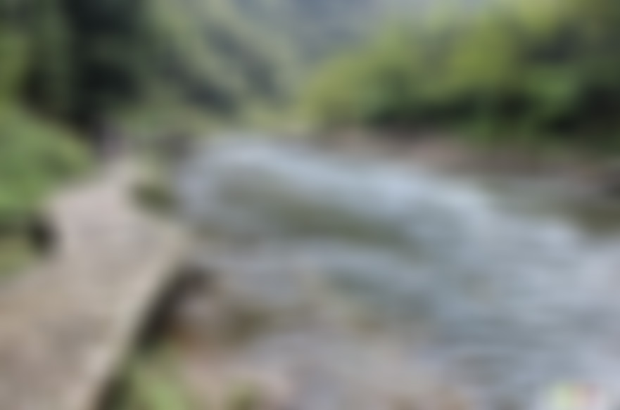 安徽淮南景点淮南子文化园景点介绍1