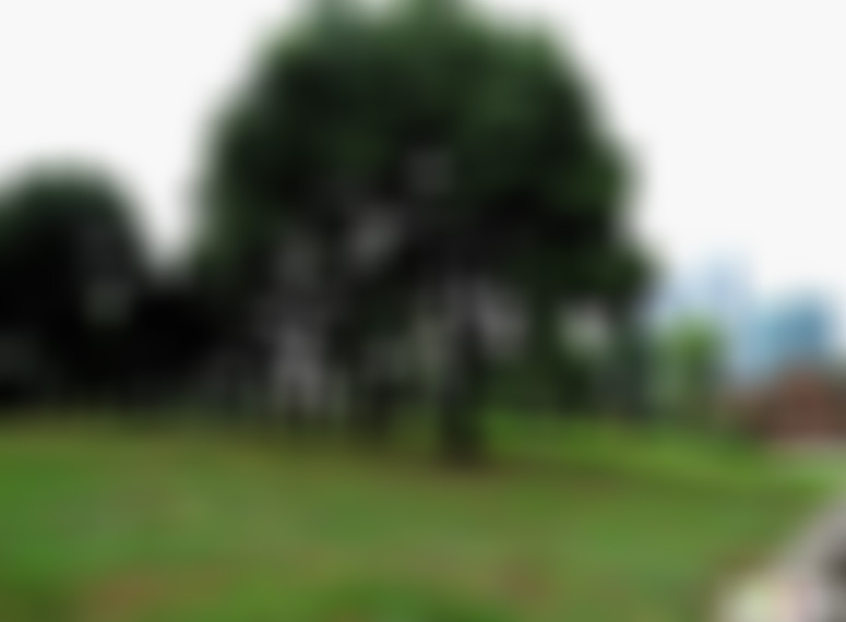 安徽安庆景点大观亭公园景点介绍1