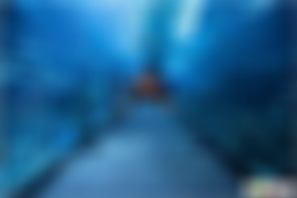 安徽黄山景点西递青云轩景点介绍1