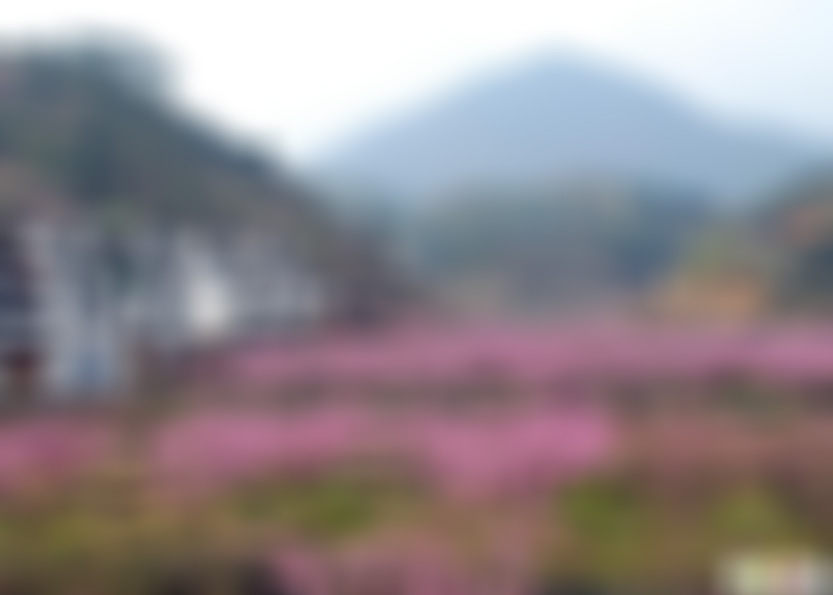 安徽黄山景点黄山松谷庵景点介绍1