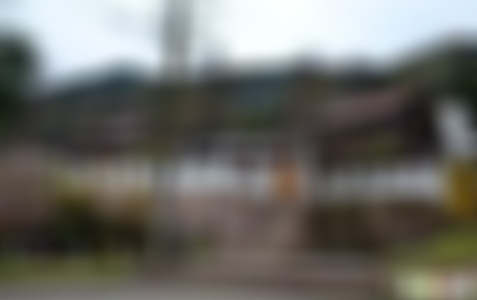 安徽池州景点九华山通慧禅林景点介绍1