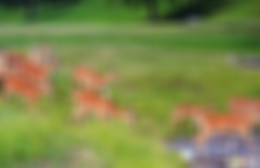 安徽马鞍山景点太湖山鹿苑景点介绍1