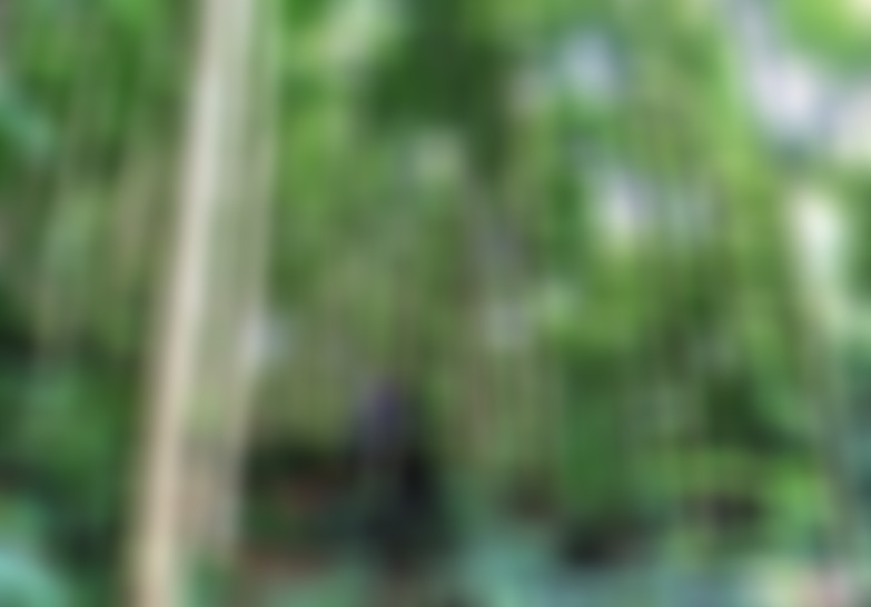 安徽宣城景点海棠小镇动漫水世界景点介绍1