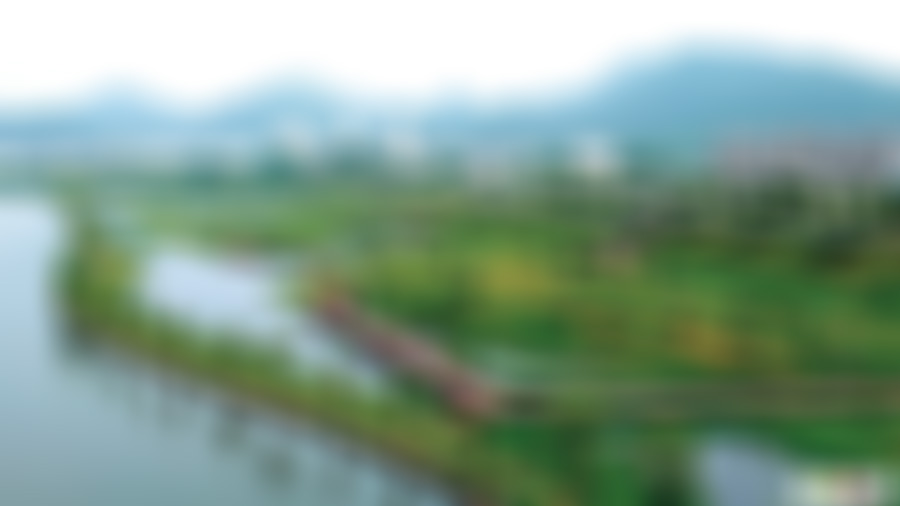 安徽池州景点榉根关古徽道景点介绍1