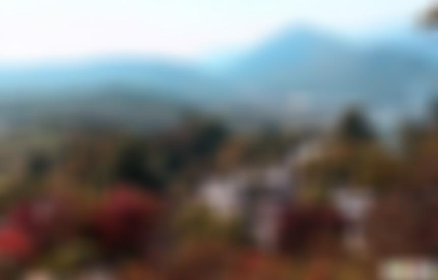 安徽黄山景点鲍家祠堂景点介绍1