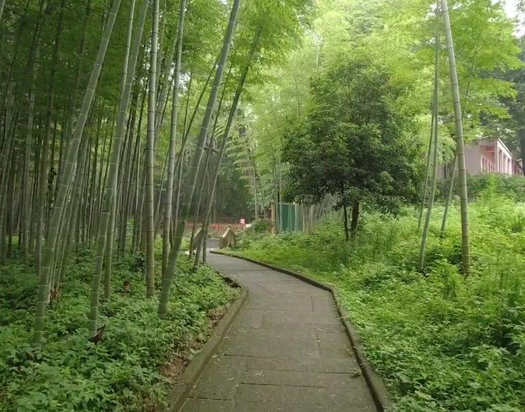 安徽马鞍山景点白母园景点介绍1