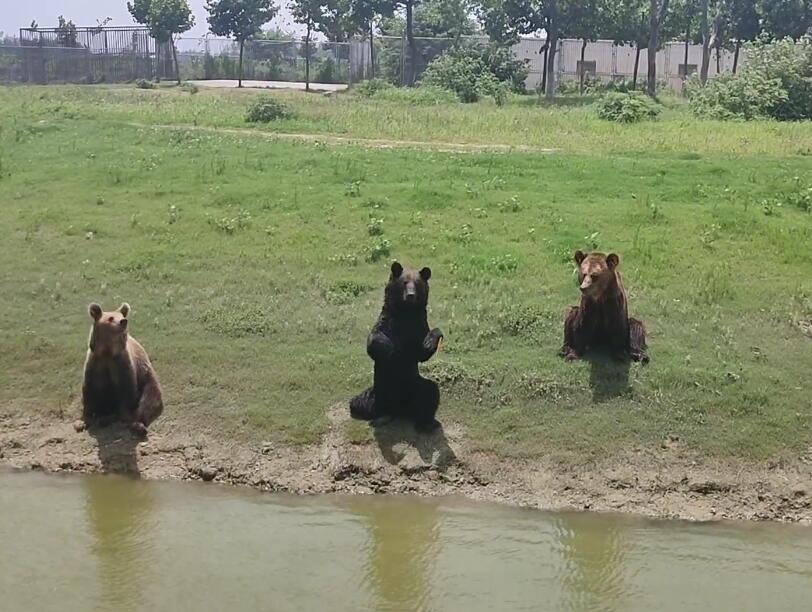 安徽六安景点燕子河天坑仙境景点介绍1