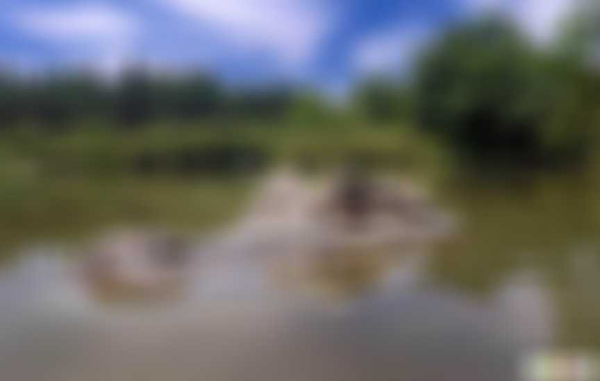 安徽阜阳景点五里湖生态湿地景点介绍1