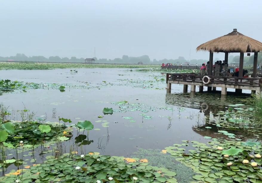 安徽安庆景点严凤英纪念馆景点介绍1