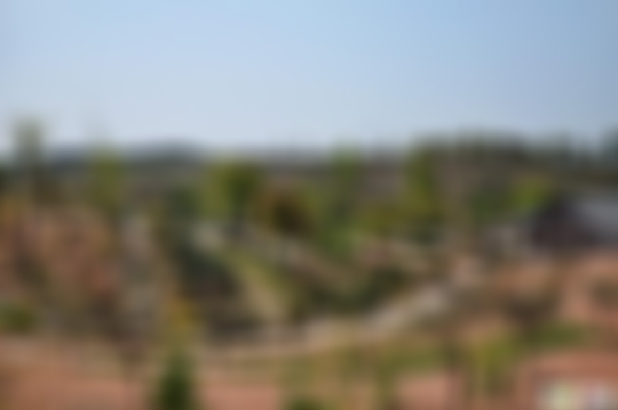 安徽安庆景点查冲生态园景点介绍1