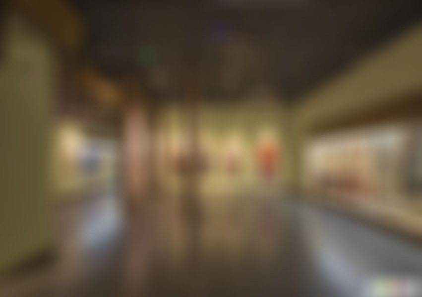 安徽六安景点皖西博物馆景点介绍1