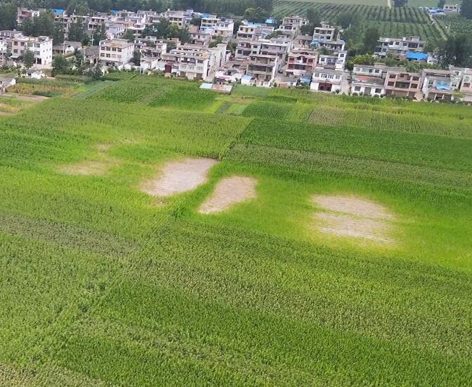 安徽池州景点九华山肉身宝殿景点介绍1