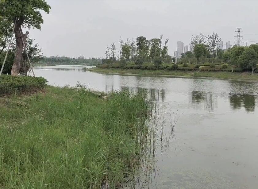 安徽合肥景点刘秉璋故居(鹤庐)景点介绍1