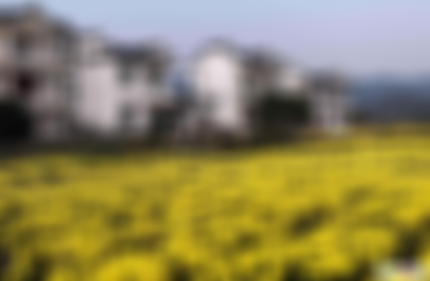 安徽黄山景点盐铺村景点介绍1