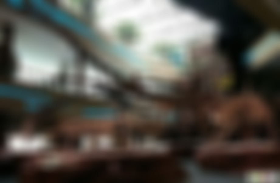 安徽合肥景点鼓山寺景点介绍1