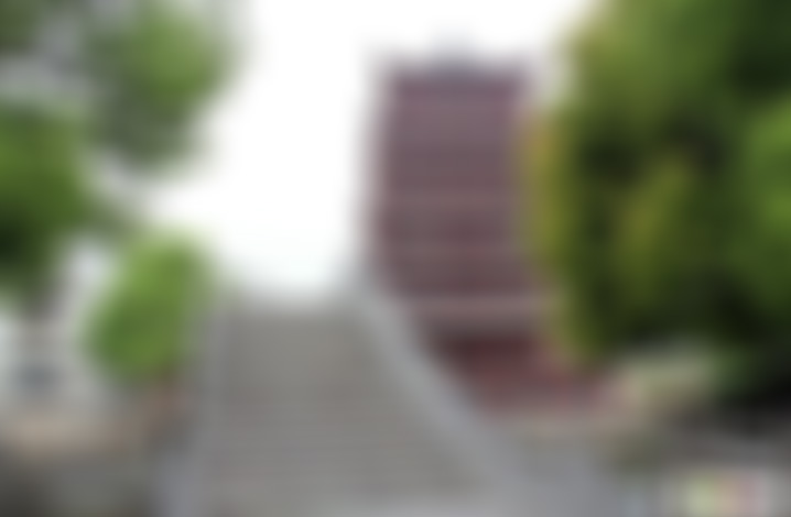 安徽安庆景点孔雀东南飞文化园景点介绍1