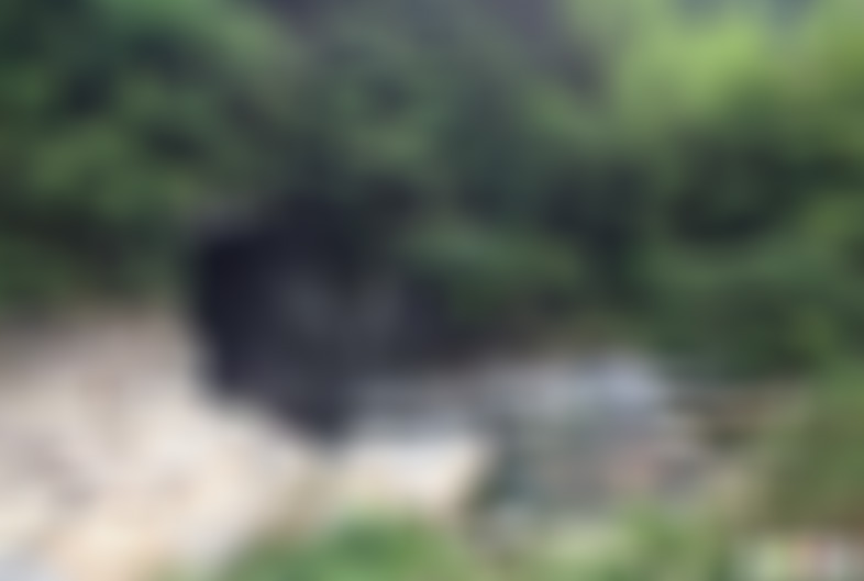 安徽黄山景点杨家大院景点介绍1