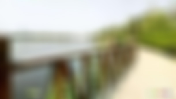 安徽阜阳景点阜阳生态游乐园景点介绍1