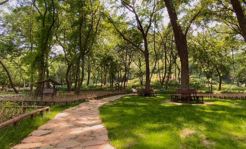 安徽淮南景点八公山忘情谷景点介绍1