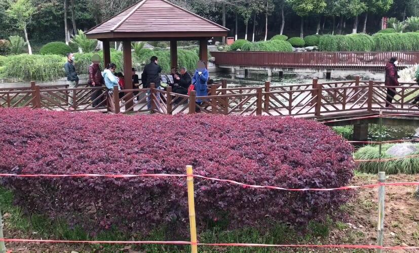 安徽铜陵景点铜陵植物园景点介绍1