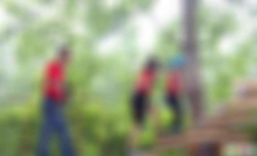 安徽阜阳景点戴桥鹭鸟湿地公园景点介绍1