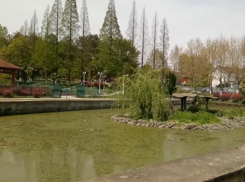 安徽宣城景点中国鳄鱼湖景点介绍1