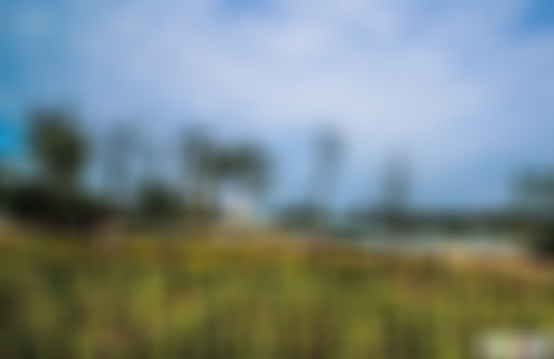 安徽合肥景点城南公园景点介绍1