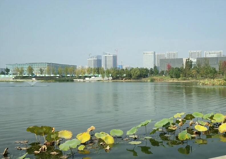 安徽安庆景点文和园(宰相坟)景点介绍1