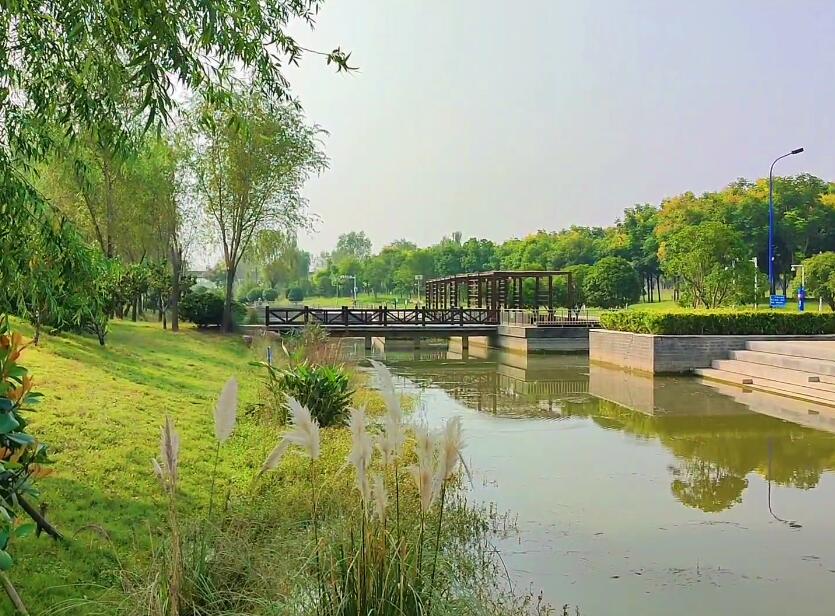 安徽阜阳景点泉水湾湿地公园景点介绍1