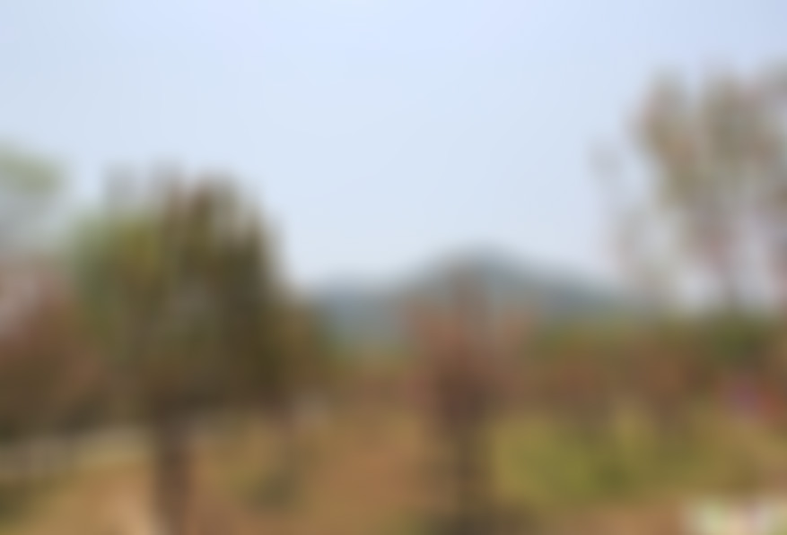 安徽六安景点樱花溪畔生态农庄景点介绍1