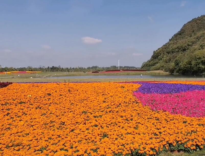 安徽合肥景点肥西老母鸡家园景点介绍1