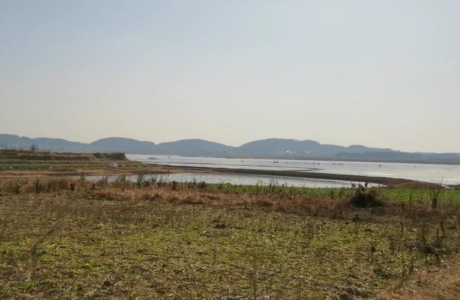 安徽阜阳景点程文炳故居景点介绍1