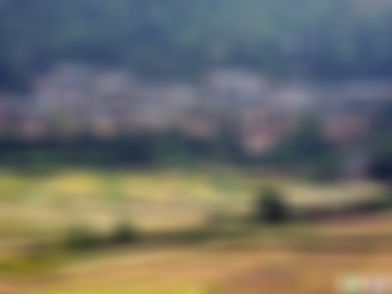 安徽合肥景点紫蓬山森林公园景点介绍1