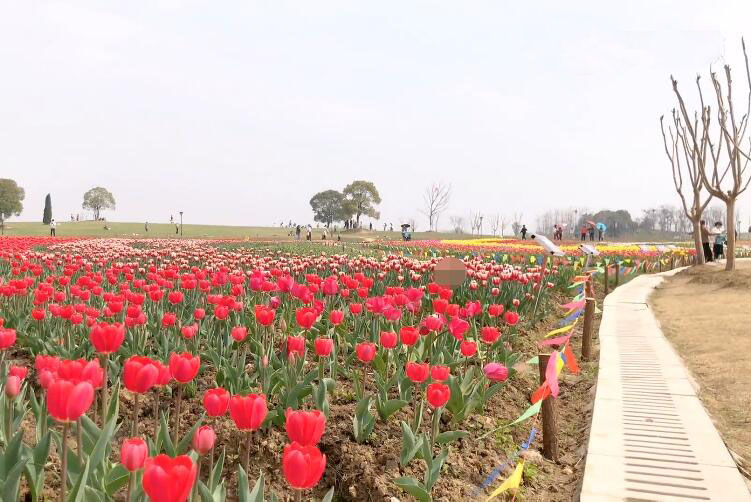 安徽六安景点大别山石窟风景区景点介绍1