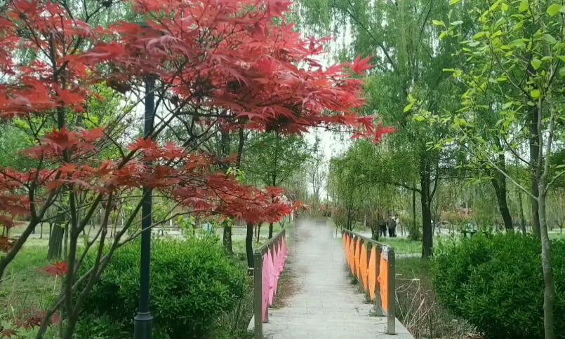 安徽阜阳景点沙颍河汽车露营地景点介绍1