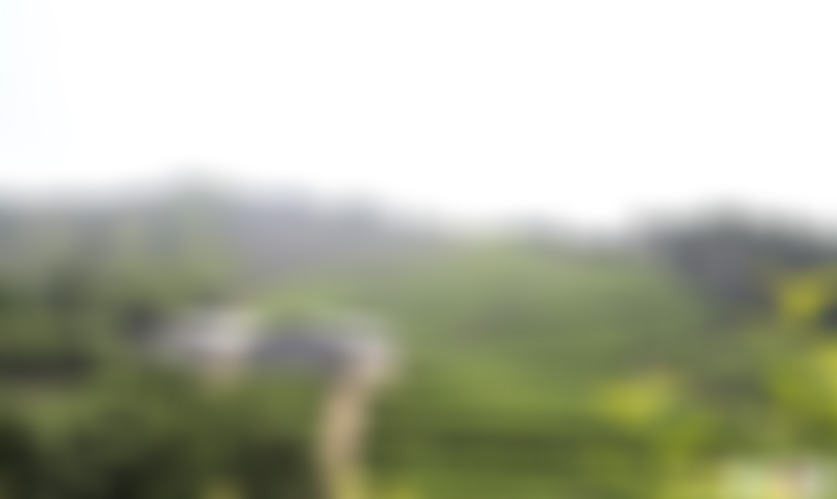 安徽安庆景点二祖寺景点介绍1