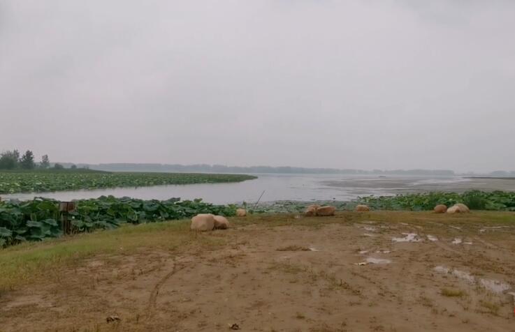 安徽蚌埠景点白乳泉风景区景点介绍1