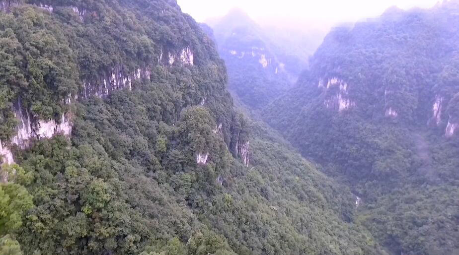 广东阳江景点独石仔洞穴遗址景点介绍1