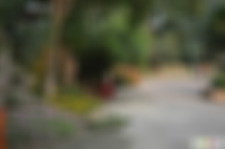 广东佛山景点西南公园景点介绍1