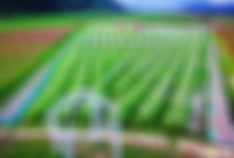 广东清远景点畔水花海景点介绍1