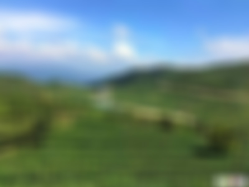 广东汕头景点苏州街景点介绍1