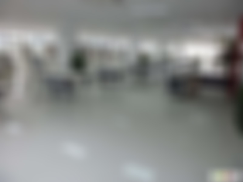 广东肇庆景点贞山贞仙祠景点介绍1