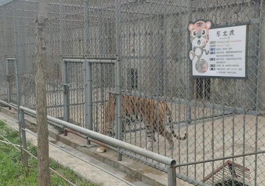 安徽铜陵景点铜陵市动物园景点介绍1
