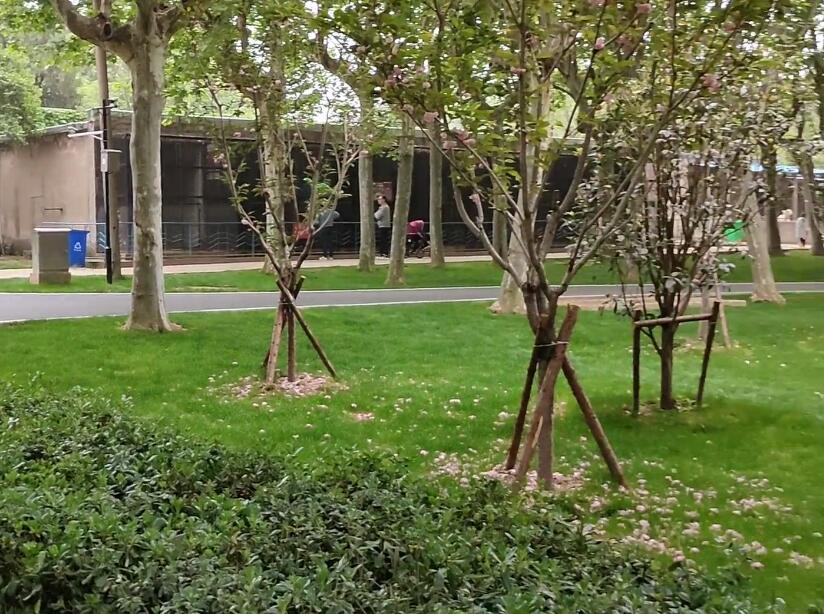 安徽芜湖景点西九华风景区景点介绍1