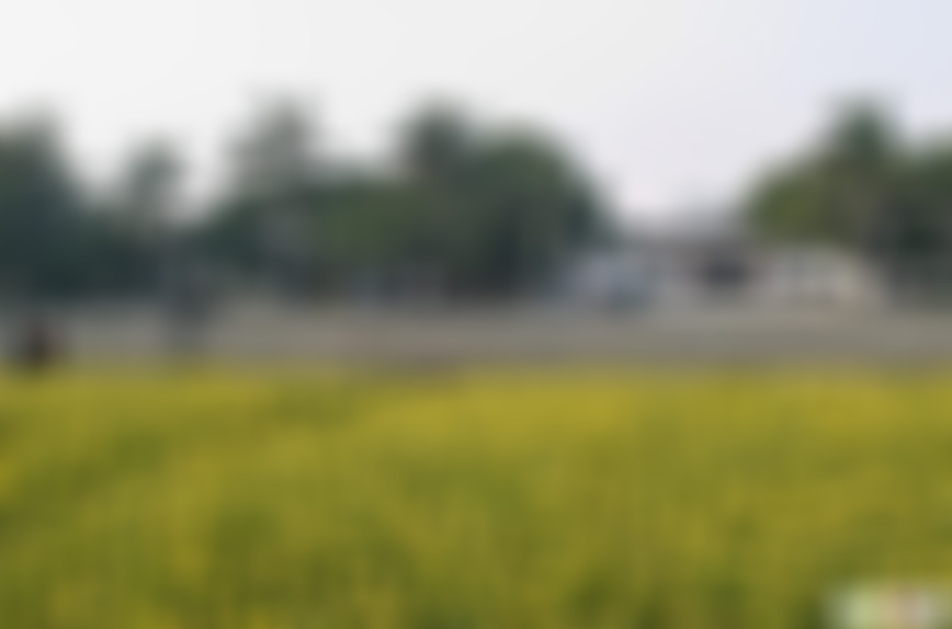 广东珠海景点圆明新园正大光明殿景点介绍1