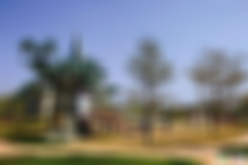 广东湛江景点蛤岭村景点介绍1