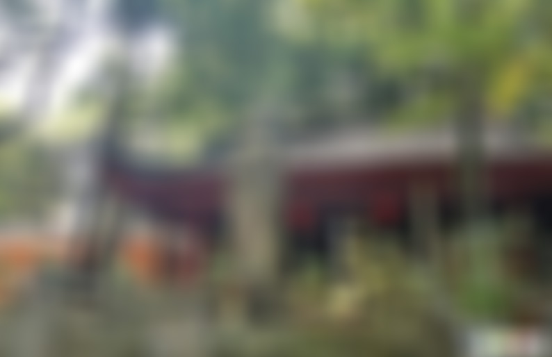 广东惠州景点大亚湾景点介绍1